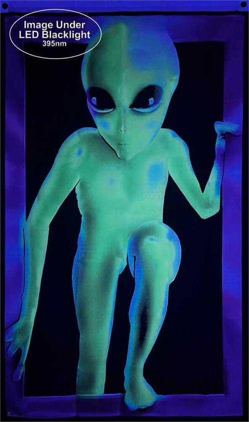 Alien Blacklight Flag