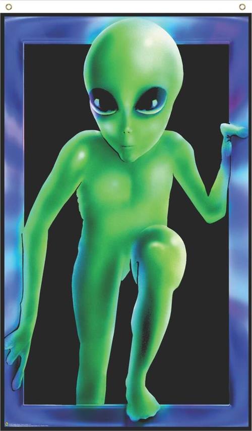 Alien Blacklight Flag