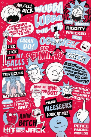 11x17 Rick & Morty Countertop Poster - HalfMoonMusic