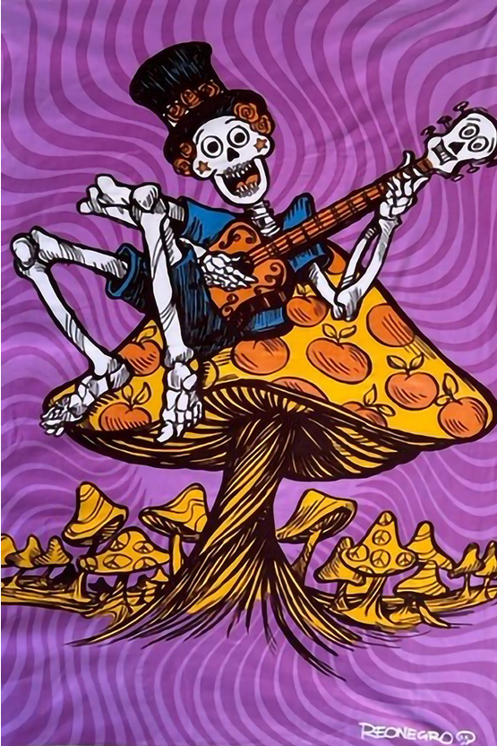 Grateful Dead Shroom For More Jamming Skeleton Tapestry - HalfMoonMusic