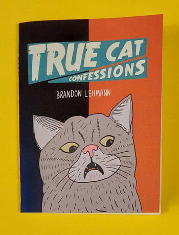 True Cat Confessions Zine