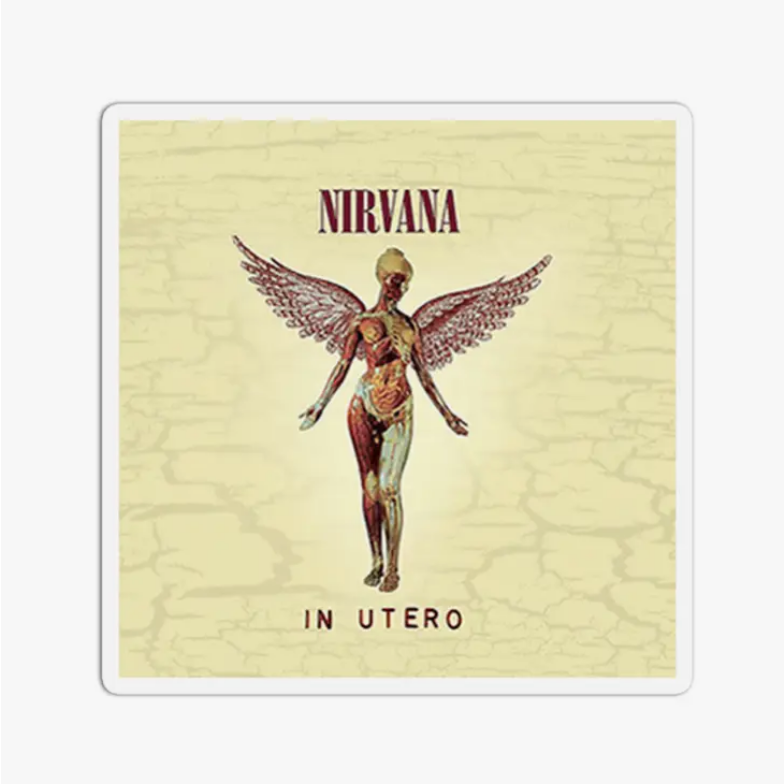 Textured Vinyl Waterproof Nirvana Sticker