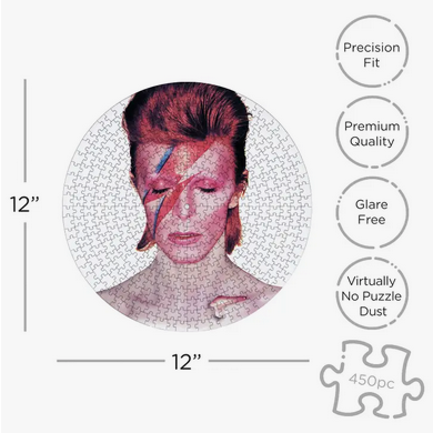 David Bowie Aladdin Sane Picture Disc Jigsaw Puzzle
