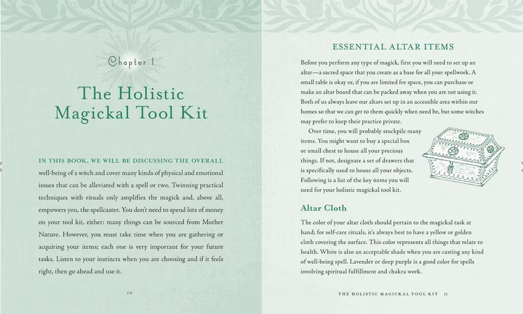 The Holistic Witch Book