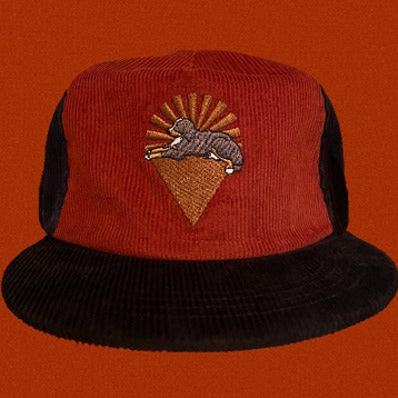 Grateful Dead Dogs Under The Stars Corduroy Snapback Hat