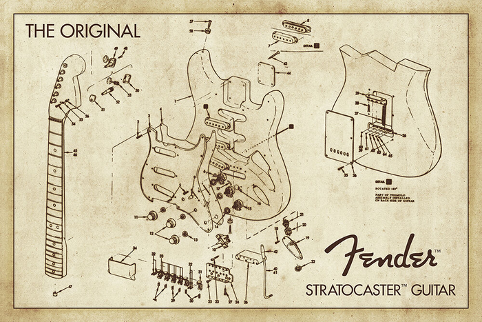 Fender Guitar Diagram Poster