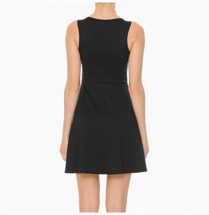 V-Neck Sleeveless Knit Skater Mini Dress