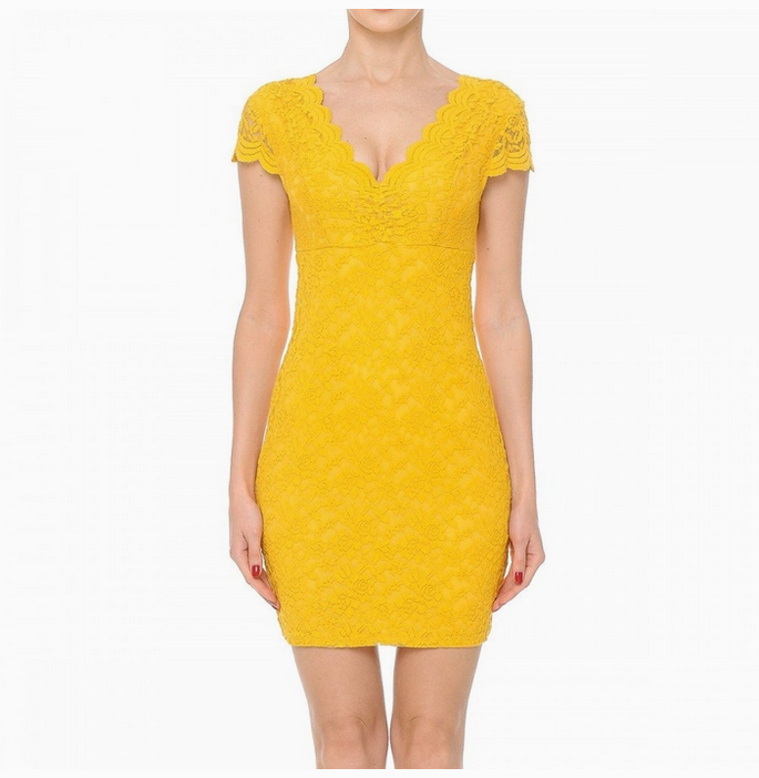 Women's Lace V-Neck Short Sleeve Bodycon Dress