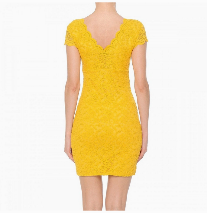 Women's Lace V-Neck Short Sleeve Bodycon Dress