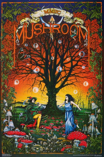 Magic Mushroom Dance Vintage Poster