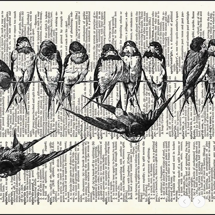 Birds On A Wire Dictionary Print