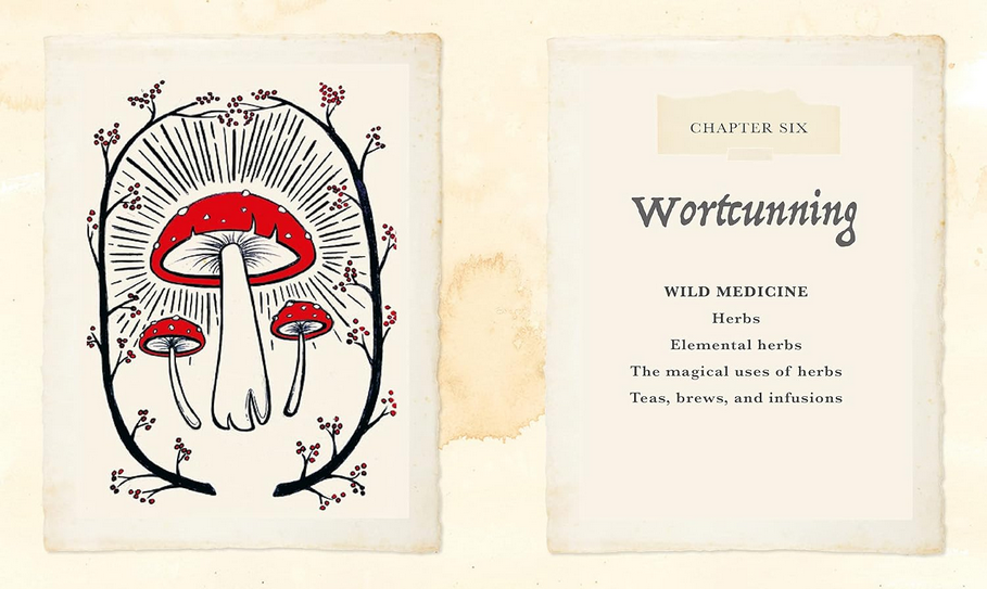 The Witch of The Woods