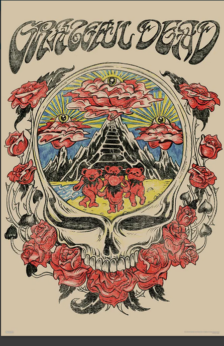 Grateful Dead Steal Your Vison Poster