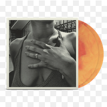 The Menzingers On The Impossible Past LP
