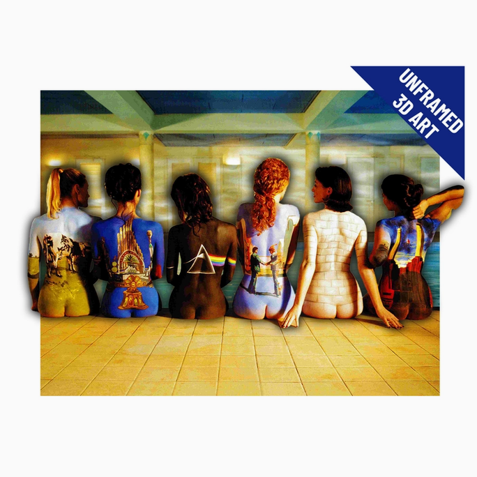 Pink Floyd Unframed Back Catalogue 3D Lenticular Art Print