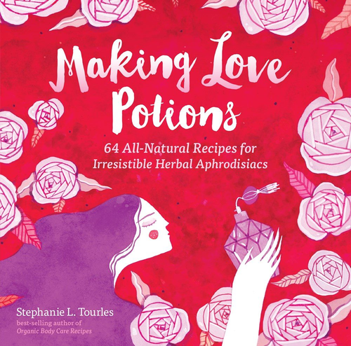 Making Love Potions Paperback Book