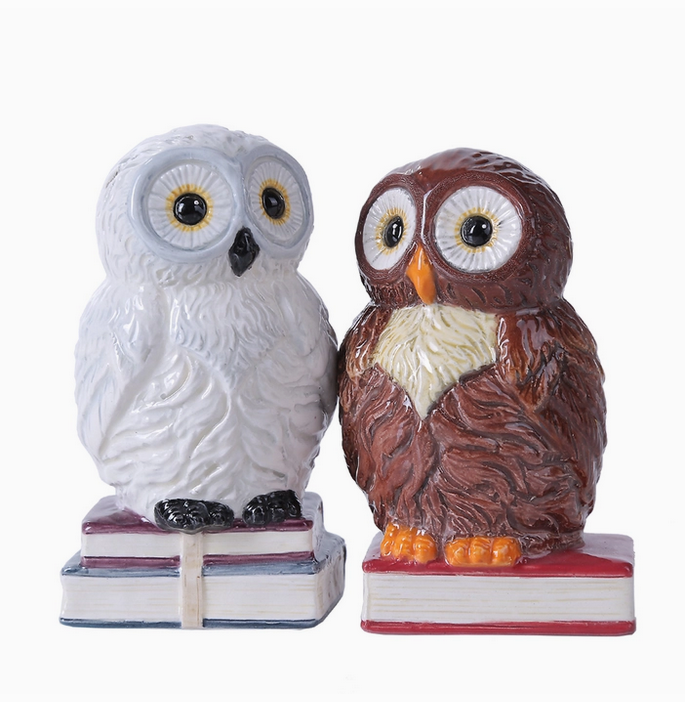 Book Owls Salt and Pepper Shaker Set