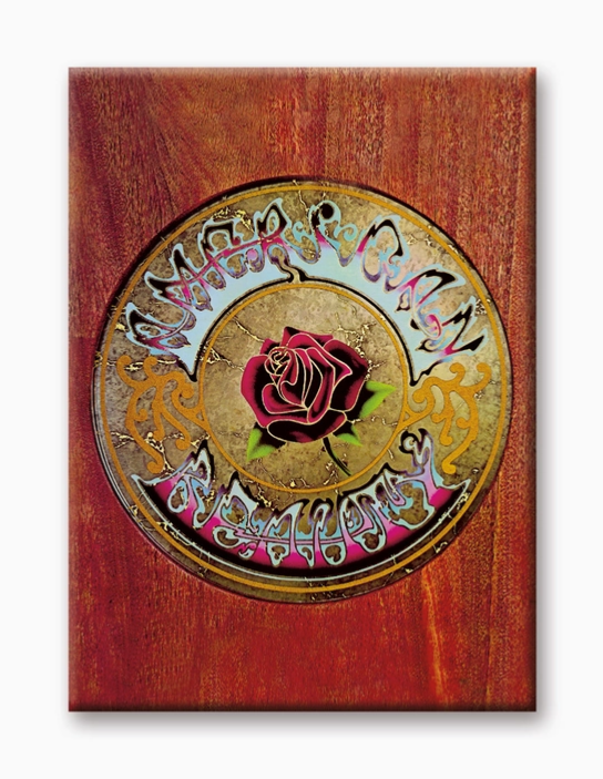 GSN Magnets
