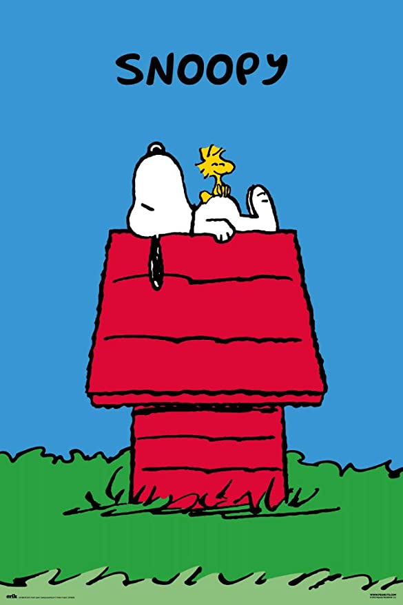 Snoopy Dog House Poster - HalfMoonMusic