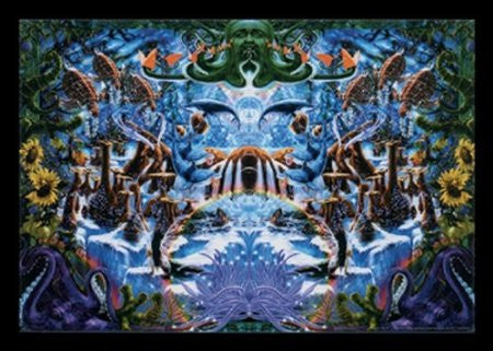 Octopus Blacklight Poster - HalfMoonMusic