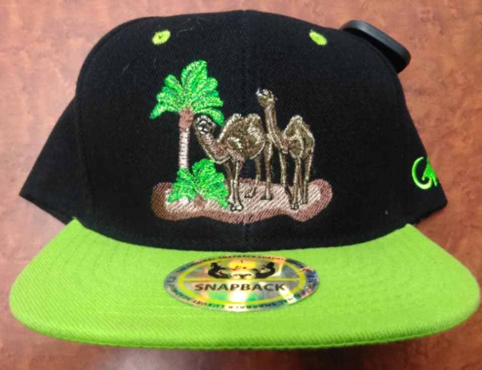 Camel Oasis Snap-Back Hat - HalfMoonMusic