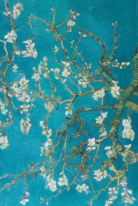 11x17 Van Gogh Almond Blossom Countertop Poster - HalfMoonMusic