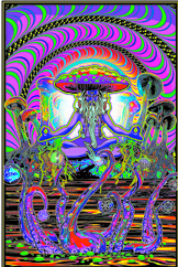 The Shroomer Meditating Non-Flocked Blacklight Poster - HalfMoonMusic