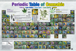 Periodic Table of Cannabis Poster - HalfMoonMusic