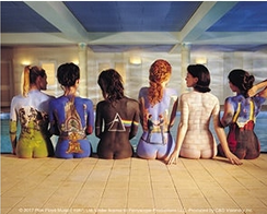 Pink Floyd Back Catalogue Sticker - HalfMoonMusic