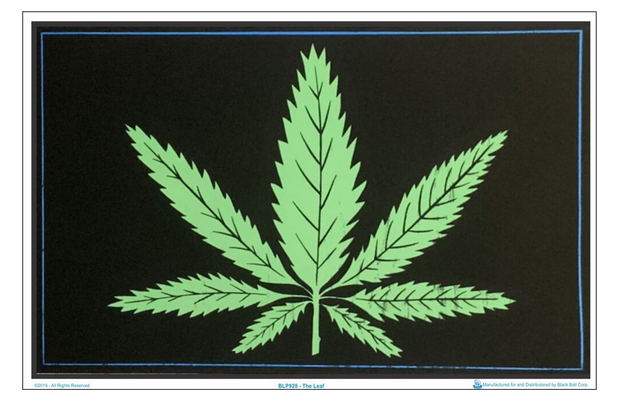 Pot Leaf Flocked Blacklight Poster - HalfMoonMusic