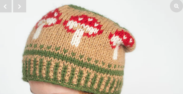 Wild Mushroom Slouchy Beanie - HalfMoonMusic