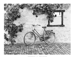 La Bicyclette Black/White Art Print - HalfMoonMusic