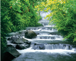 Fortuna Falls Art Print - HalfMoonMusic