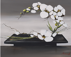 Bonheur d’orchidees blanches II Art Print - HalfMoonMusic