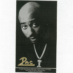 2PAC Window Sticker - HalfMoonMusic