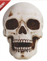 Skull Statue - HalfMoonMusic