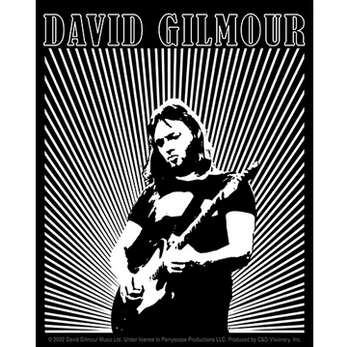 David Gilmour Lines Logo Sticker - HalfMoonMusic
