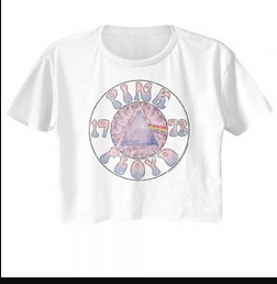 Women's Pink Floyd Dark Side Prism 1973 Crop Top - HalfMoonMusic