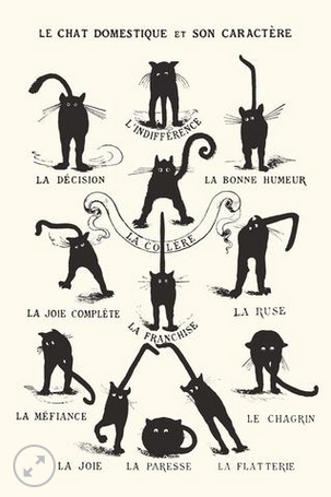 11x17 Le Chat Countertop Poster - HalfMoonMusic