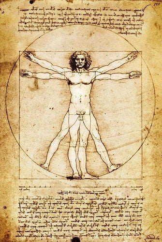 Vitruvian Man Poster - HalfMoonMusic