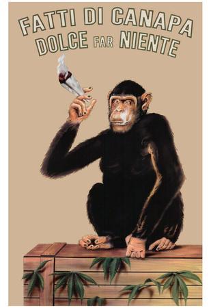 Monkey: Fatti di Canapa Poster - HalfMoonMusic