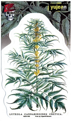 Yujean Cannabis Plant Sticker - HalfMoonMusic