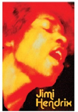 Jimi Hendrix Face Tapestry - HalfMoonMusic
