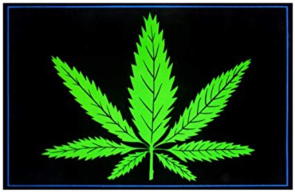 The Leaf Black Light Poster - HalfMoonMusic