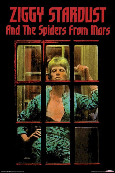 David Bowie Ziggy Poster - HalfMoonMusic
