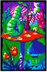 Psychedelic Alice Blacklight Poster (Non-Flocked) - HalfMoonMusic