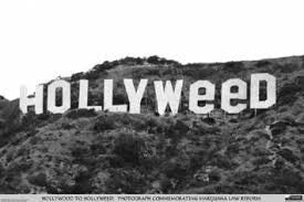 HollyWeed Poster - HalfMoonMusic