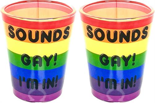 Sounds Gay I'm In Shotglass Set