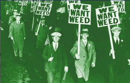 11x17 We Want Weed Countertop Poster - HalfMoonMusic