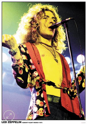 11x17 Led Zeppelin Countertop Poster - HalfMoonMusic